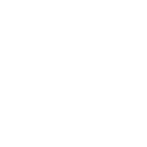 SAFE logo